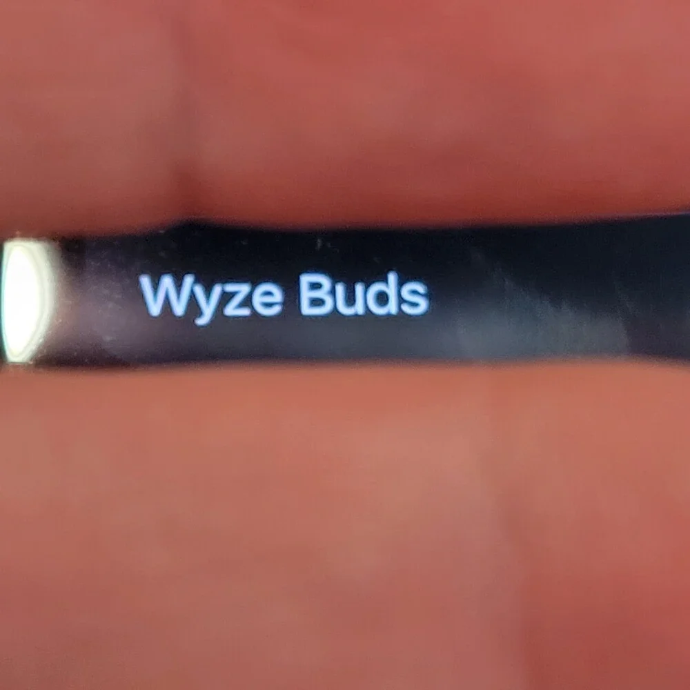 WYZE Buds True Wireless Bluetooth In-Ear Earbuds Black w/ Charging Case USB-C